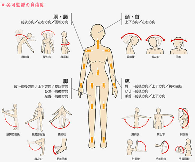 リアルドール 持ち方