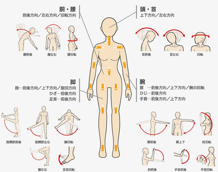 リアルドール 手入れ